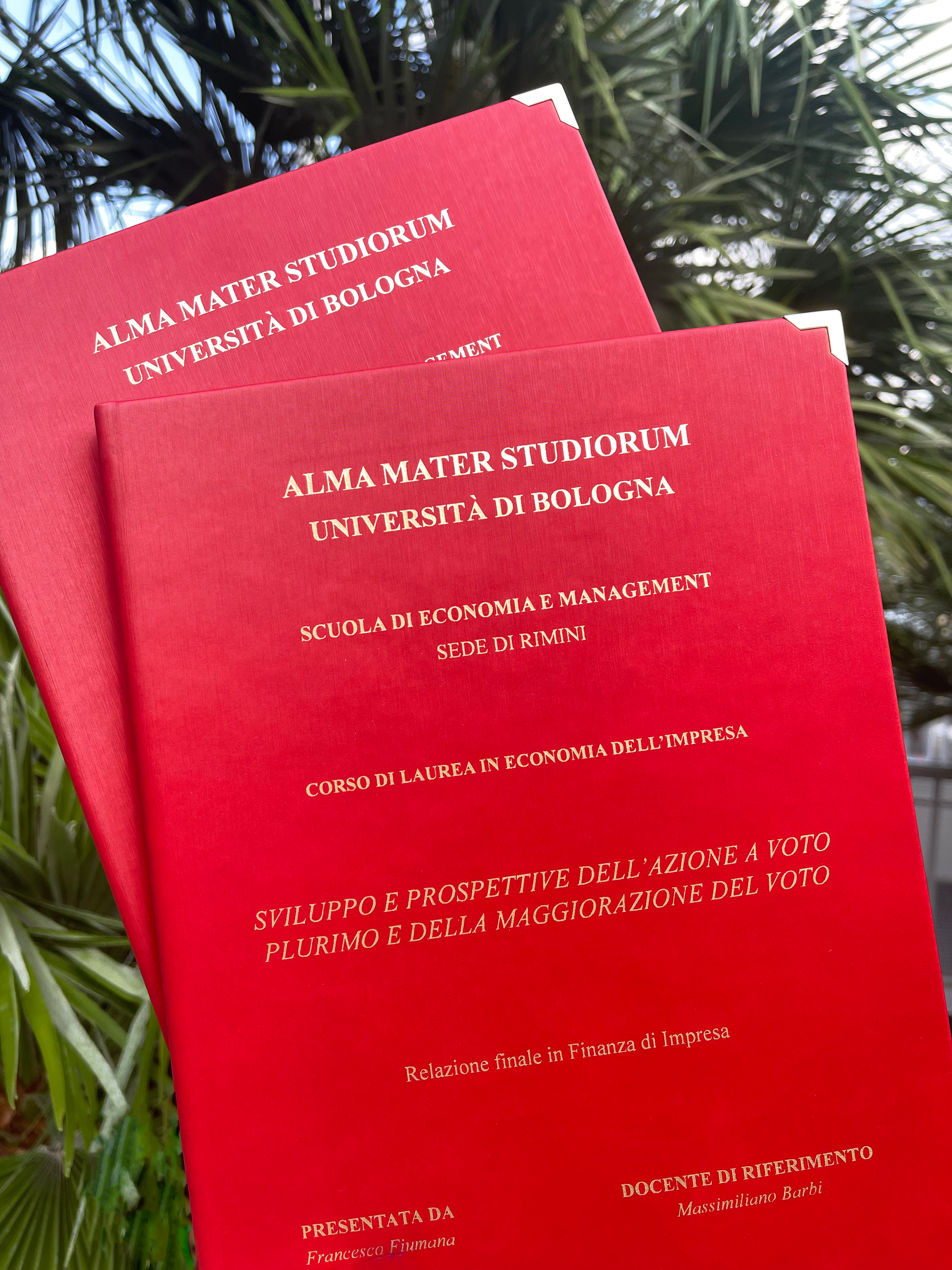 Alma Mater Studiorum Universita' di Bologna