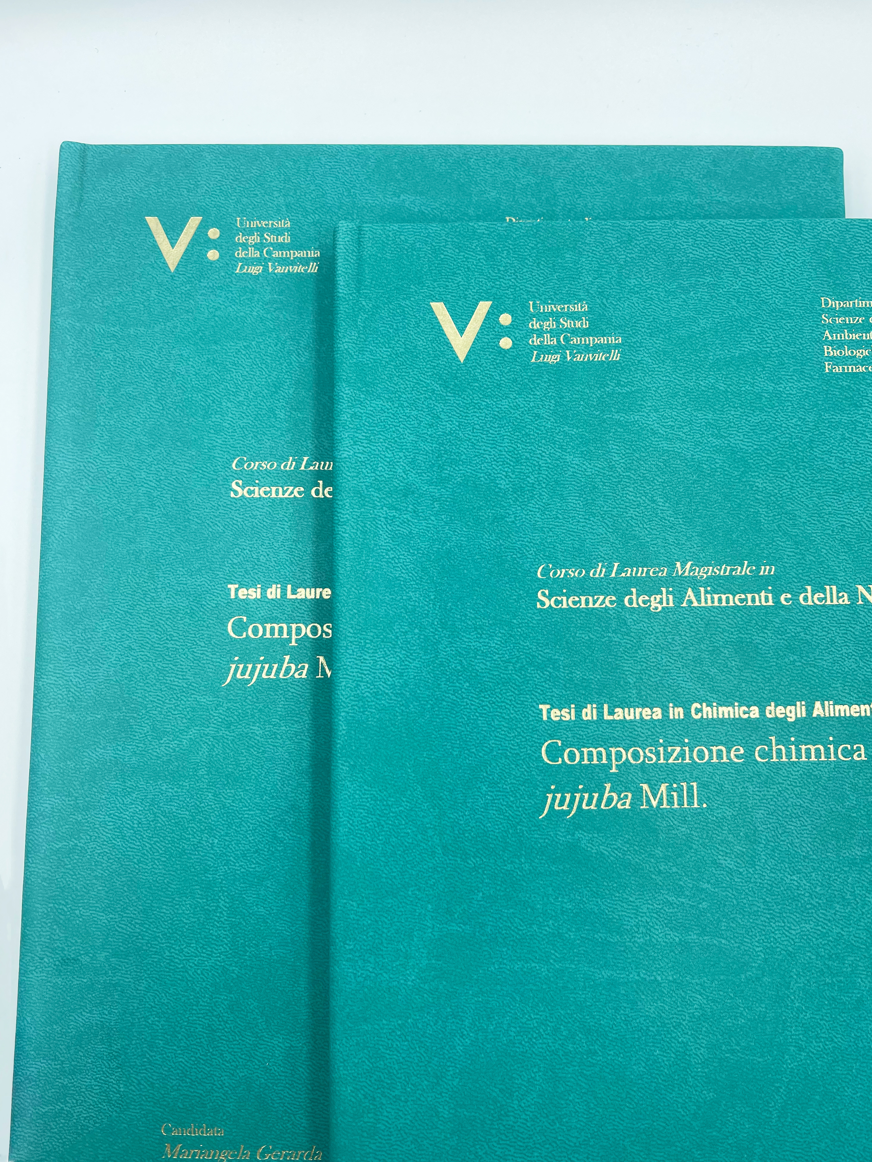Universita' degli Studi della Campania Luigi Vanvitelli