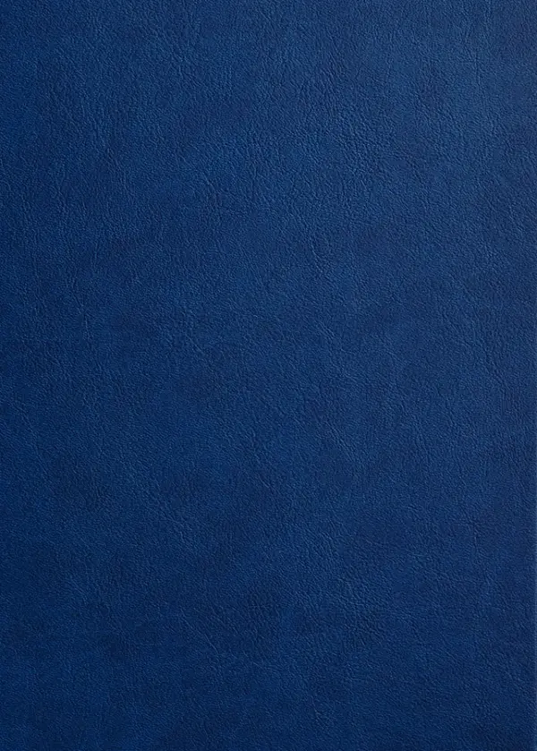 Copertina Diamante Blu